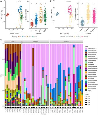 Phylogenetic variation in raw cow milk microbiota and the impact of forage combinations and use of silage inoculants